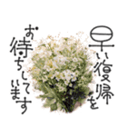 大人の挨拶♡秋から冬♡品よくおしゃれに（個別スタンプ：28）