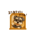 ミニチュアシュナウザー毎日使える◎3D（個別スタンプ：36）