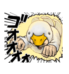 あひるぐるみ_ver1（個別スタンプ：22）
