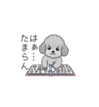 推しが尊いトイプードル（個別スタンプ：3）