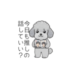 推しが尊いトイプードル（個別スタンプ：4）