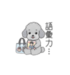 推しが尊いトイプードル（個別スタンプ：7）