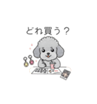 推しが尊いトイプードル（個別スタンプ：24）
