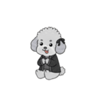 推しが尊いトイプードル（個別スタンプ：40）