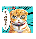 猫玉＆ネコリキッドスタンプ（個別スタンプ：13）