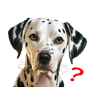 猫玉＆ネコリキッドスタンプ（個別スタンプ：22）