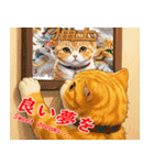 猫玉＆ネコリキッドスタンプ（個別スタンプ：24）