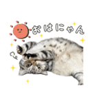 める884-2（個別スタンプ：1）