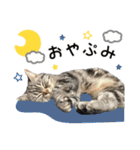める884-2（個別スタンプ：2）