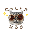める884-2（個別スタンプ：3）