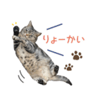 める884-2（個別スタンプ：4）