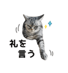 める884-2（個別スタンプ：5）