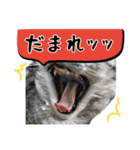 める884-2（個別スタンプ：7）