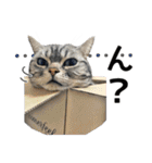 める884-2（個別スタンプ：8）