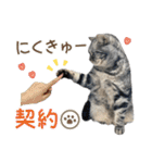 める884-2（個別スタンプ：9）