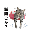 める884-2（個別スタンプ：10）