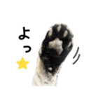 める884-2（個別スタンプ：11）