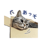 める884-2（個別スタンプ：12）