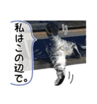める884-2（個別スタンプ：14）