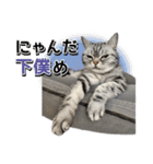 める884-2（個別スタンプ：15）