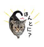 める884-2（個別スタンプ：17）