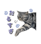 める884-2（個別スタンプ：21）