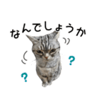 める884-2（個別スタンプ：22）