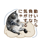 める884-2（個別スタンプ：23）