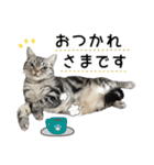 める884-2（個別スタンプ：26）