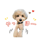 める884-2（個別スタンプ：27）