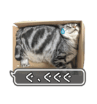 める884-2（個別スタンプ：28）