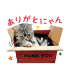 める884-2（個別スタンプ：29）