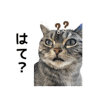 める884-2（個別スタンプ：31）