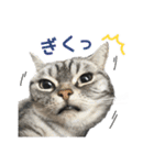 める884-2（個別スタンプ：32）