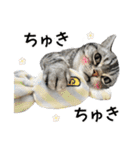 める884-2（個別スタンプ：33）