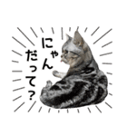 める884-2（個別スタンプ：34）