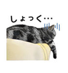 める884-2（個別スタンプ：39）