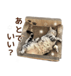 める884-2（個別スタンプ：40）