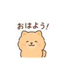 白ポメと茶ポメの日常スタンプ！（個別スタンプ：2）