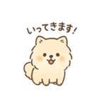 白ポメと茶ポメの日常スタンプ！（個別スタンプ：5）