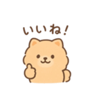 白ポメと茶ポメの日常スタンプ！（個別スタンプ：7）