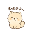 白ポメと茶ポメの日常スタンプ！（個別スタンプ：13）
