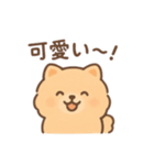 白ポメと茶ポメの日常スタンプ！（個別スタンプ：18）