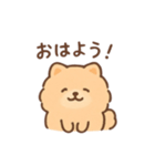 白ポメと茶ポメの日常スタンプ！（個別スタンプ：20）