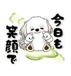 背景が動くシーズー犬「よく使う言葉」NO.1（個別スタンプ：2）