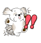 背景が動くシーズー犬「よく使う言葉」NO.1（個別スタンプ：5）