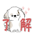 背景が動くシーズー犬「よく使う言葉」NO.1（個別スタンプ：7）