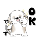 背景が動くシーズー犬「よく使う言葉」NO.1（個別スタンプ：8）