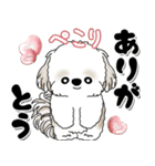 背景が動くシーズー犬「よく使う言葉」NO.1（個別スタンプ：9）