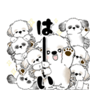 背景が動くシーズー犬「よく使う言葉」NO.1（個別スタンプ：12）